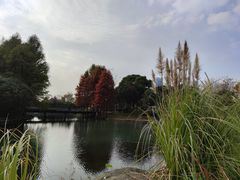 -尚贤河湿地