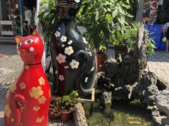 -猫咪博物馆(顶澳仔猫街店)