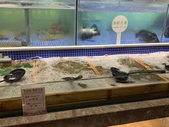 水产区-丰卓会海鲜自助(中润大道店)