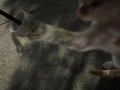 -蕃茄田艺术•美术绘画 •硬笔书法(滨江海威领界店)