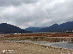 -罗坑大草原