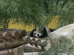 -杭州野生动物世界