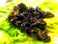 木耳-成都米粉串串钵钵鸡(阜通店)