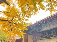 -红螺寺