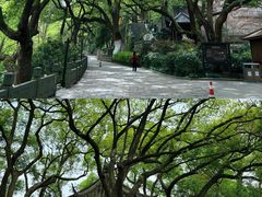 -吴山景区
