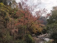 -梅岭月亮湾山体公园