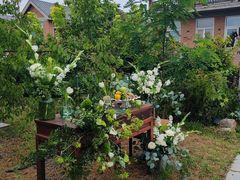 -北马山庄植趣咖啡