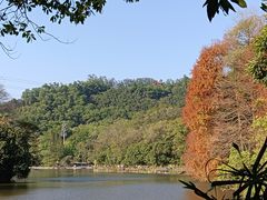 -深圳仙湖植物园