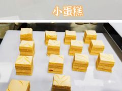 -田素(稻田创业小镇店)