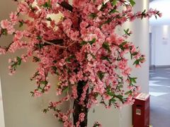-火炉火自助餐(悠唐购物中心店)