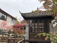 -郫都区农科村景区
