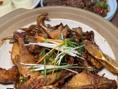 -坛南湾阿强农家乐.海鲜大排档老字号(福州地标美食店)