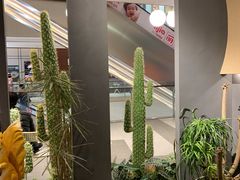 -半悦牛排(龙湖西宸天街店)