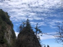-秦岭天竺山景区