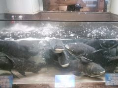 -上名堂·鱼头好吃(体育场路店)