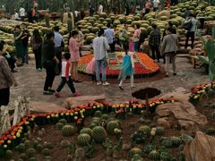 -南通洲际绿博园