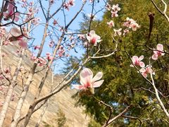 -东华门大街小区