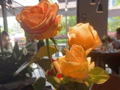 -West10 西拾·西餐厅·创意菜(未来科技城店)