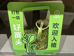 -海底捞火锅(吾悦广场店)
