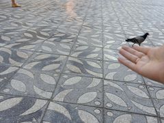 -芽庄珍珠岛游乐园