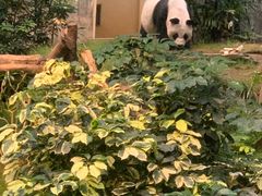-香港海洋公园