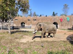 -济南野生动物世界