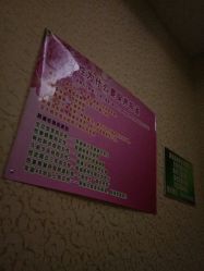 -归真美学颜究中心