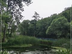 -白水寺森林公园