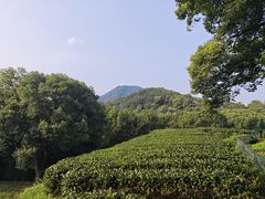 -西湖风景区十里琅珰-五云山