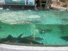 -天怡·鱼工厂(梅溪湖店)