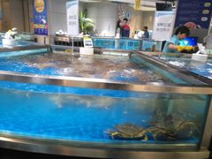 -盒马鲜生(杭州运河上街店)