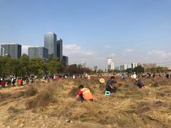 景点-映月湖中央公园