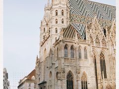 -斯蒂芬主教座堂(Stephansdom)