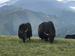 -灵山