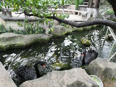 -昆明动物园