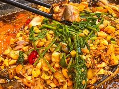 -黑猫馋纸包鱼(阳光店)