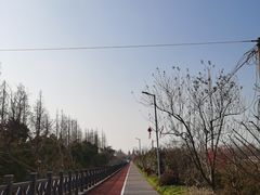 -上海长兴岛郊野公园