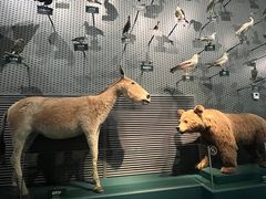 -中国湿地博物馆