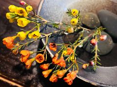 -喜晋道面馆(华严寺广场店)