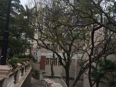 -香港大学