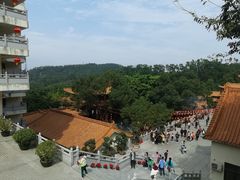 -深圳仙湖植物园-停车场