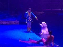 -芜湖新华联大白鲸海洋公园