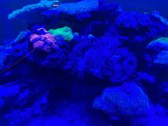 -上和臻品中国菜(花园街店)