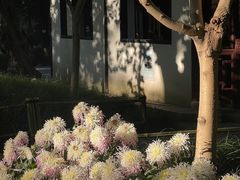 -汇龙潭