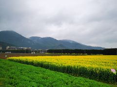 -宁波富邦荪湖山庄