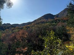 -阳台山自然风景区