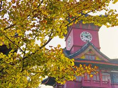 -四川大学(华西校区)