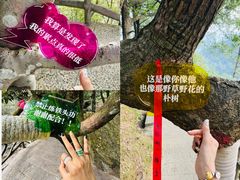 -石台牯牛降景区