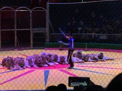 -西安秦岭野生动物园