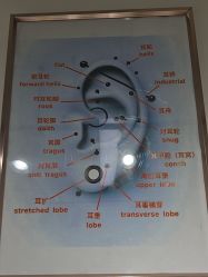 -AI艾耳·专业手工耳洞·穿孔美学馆